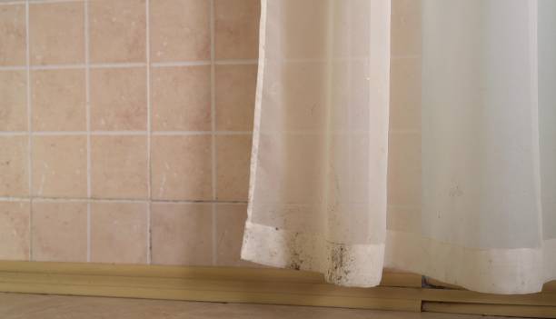 Best Indoor Air Quality Assessment  in Ojai, CA