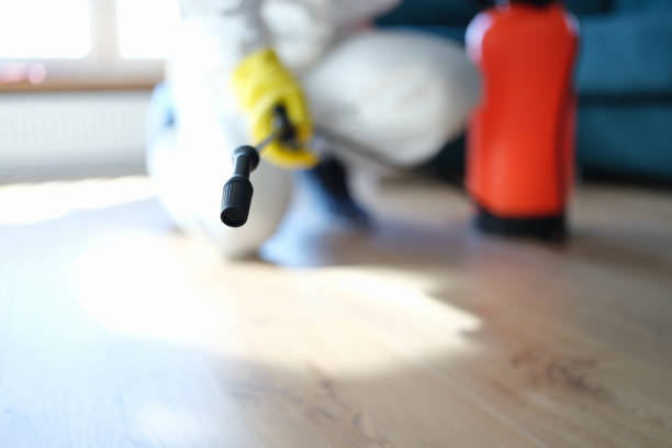 Best Biohazard Mold Removal  in Ojai, CA